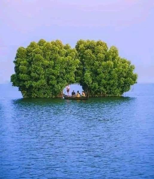 Bliss Homestay Munroe Island Mundrothuruth Zewnętrze zdjęcie